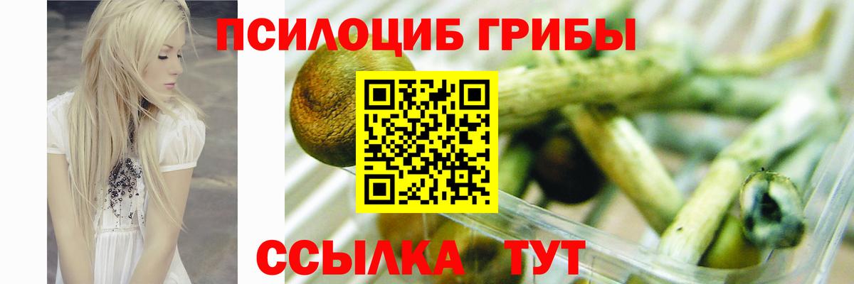 Псилоцибиновые грибы Magic Shrooms Новодвинск