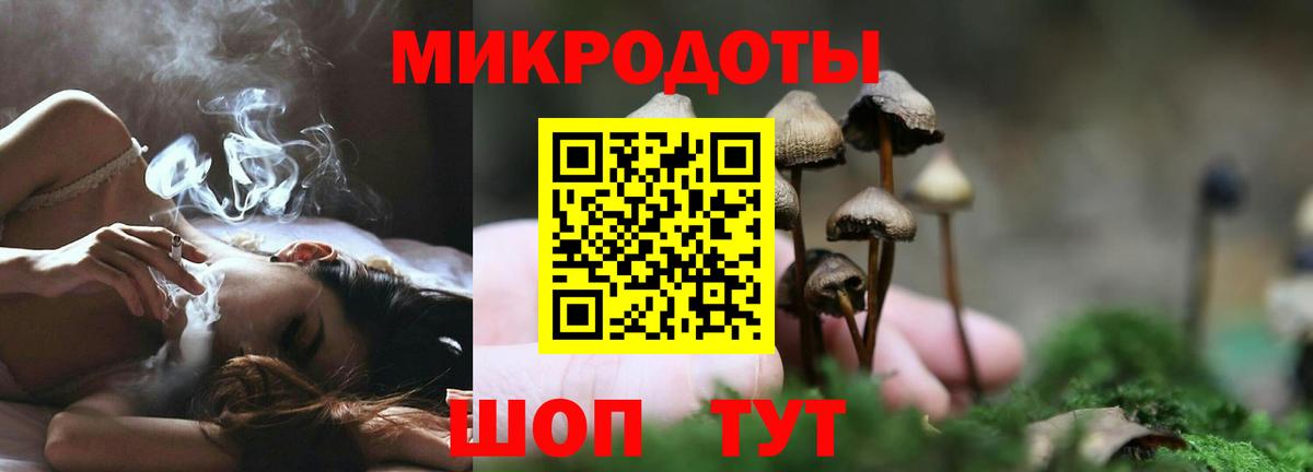 как найти   Вход с VPN  Псилоцибиновые грибы GOLDEN TEACHER  Новодвинск  Псилоцибиновые грибы Cubensis 
